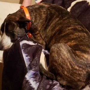 Meet your Posher, Jackie